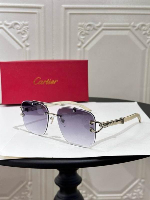 Cartier Sunglasses 726